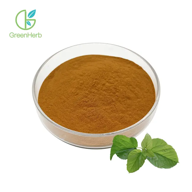 Mulberry Leaf Extract Powder